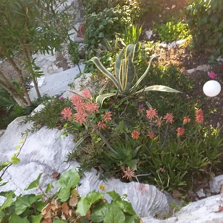 Appartamento Tolic *