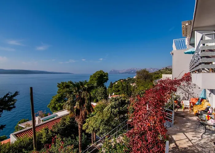 Apartament Tolic